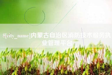 黔西内蒙古自治区消防技术服务执业管理平台