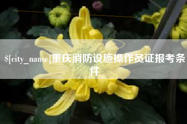 黔西重庆消防设施操作员证报考条件