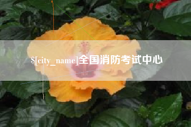黔西全国消防考试中心