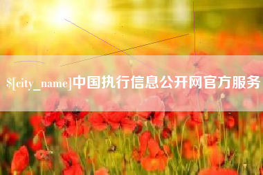 黔西中国执行信息公开网官方服务