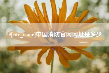 黔西中国消防官网网址是多少