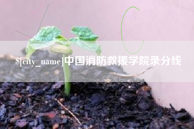 黔西中国消防救援学院录分线