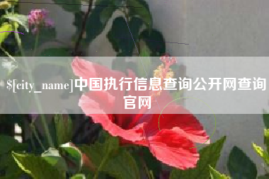 黔西中国执行信息查询公开网查询官网