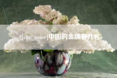 黔西中国的金牌有几名