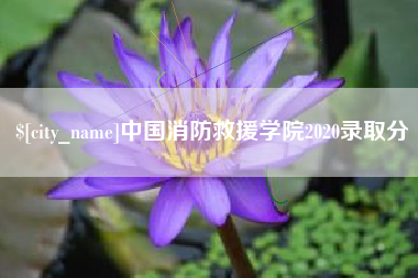 黔西中国消防救援学院2020录取分