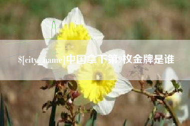 黔西中国拿下第9枚金牌是谁