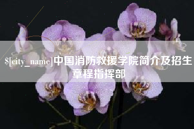 黔西中国消防救援学院简介及招生章程指挥部