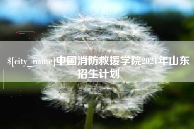 黔西中国消防救援学院2021年山东招生计划