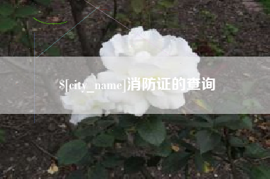 黔西消防证的查询