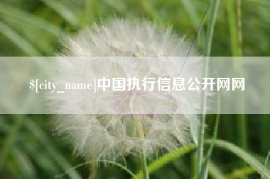 黔西中国执行信息公开网网