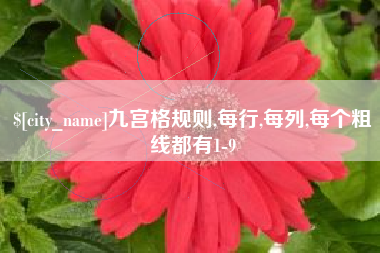 黔西九宫格规则,每行,每列,每个粗线都有1-9