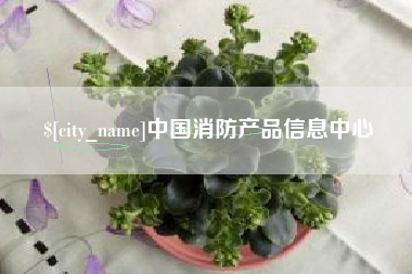 黔西中国消防产品信息中心