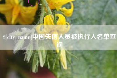 黔西中国失信人员被执行人名单查询