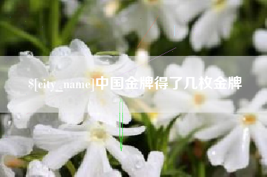 黔西中国金牌得了几枚金牌