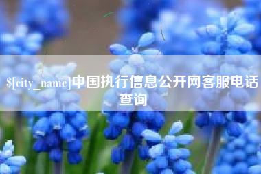 黔西中国执行信息公开网客服电话查询