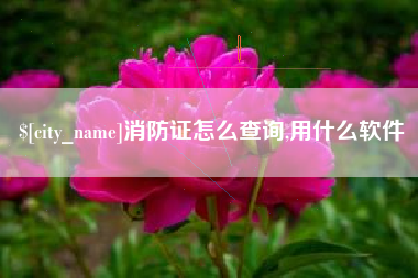 黔西消防证怎么查询,用什么软件