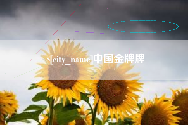 黔西中国金牌牌