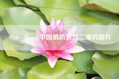 黔西中国消防官方二维码图片