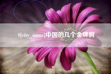 黔西中国的几个金牌啊