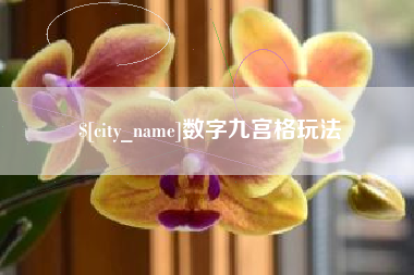 黔西数字九宫格玩法