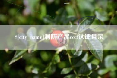 黔西消防产品cccf认证目录