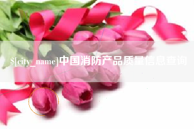 黔西中国消防产品质量信息查询
