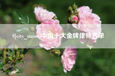 黔西中国十大金牌律师名单