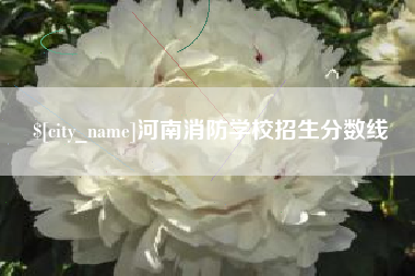 黔西河南消防学校招生分数线