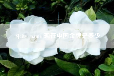 黔西现在中国金牌是多少