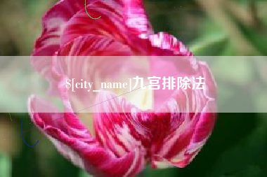 黔西九宫排除法