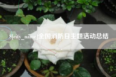 黔西全国消防日主题活动总结