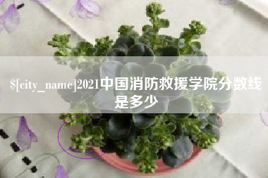 黔西2021中国消防救援学院分数线是多少