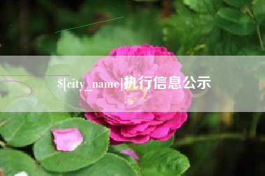 黔西执行信息公示