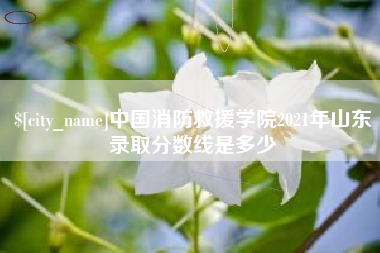 黔西中国消防救援学院2021年山东录取分数线是多少