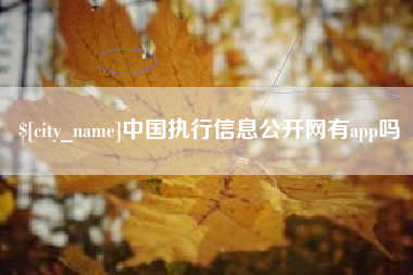 黔西中国执行信息公开网有app吗