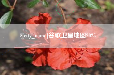 黔西谷歌卫星地图2025