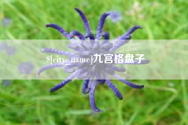 黔西九宫格盘子