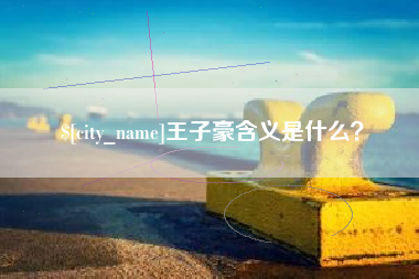 黔西王子豪含义是什么？