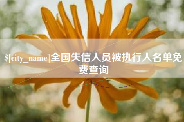 黔西全国失信人员被执行人名单免费查询
