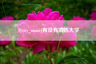 黔西有没有消防大学