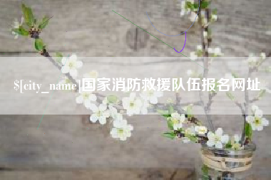 黔西国家消防救援队伍报名网址