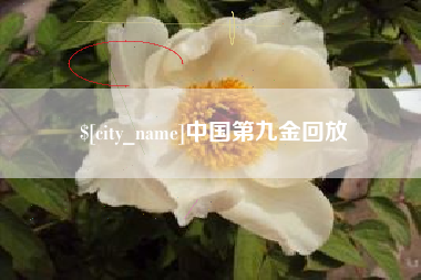 黔西中国第九金回放