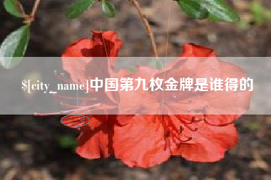黔西中国第九枚金牌是谁得的