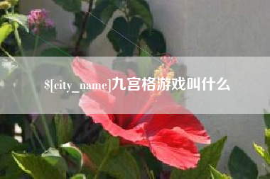 黔西九宫格游戏叫什么