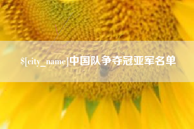 黔西中国队争夺冠亚军名单