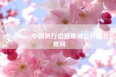 黔西中国执行信息查询公开网怎么查询