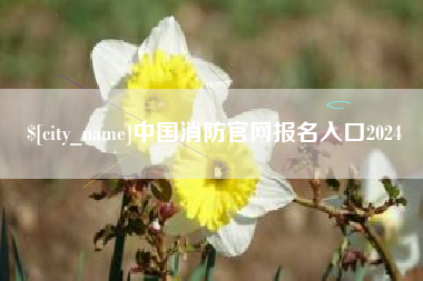 黔西中国消防官网报名入口2024