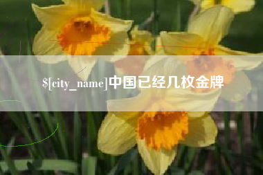 黔西中国已经几枚金牌