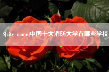 黔西中国十大消防大学有哪些学校