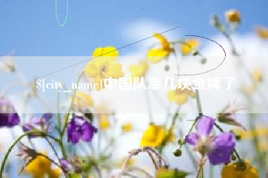 黔西中国队拿几块金牌了